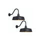Gooseneck Barn Lights 2-Pack – Dusk to Dawn Outdoor Wall Fixtures Matte Black