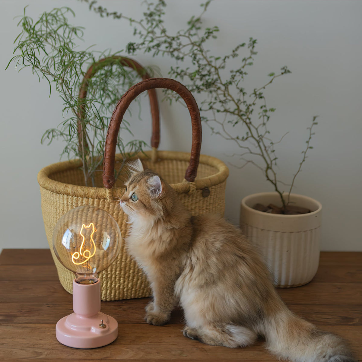 Nordic Style Cat Ceramic Table Lamp Built-in Battery