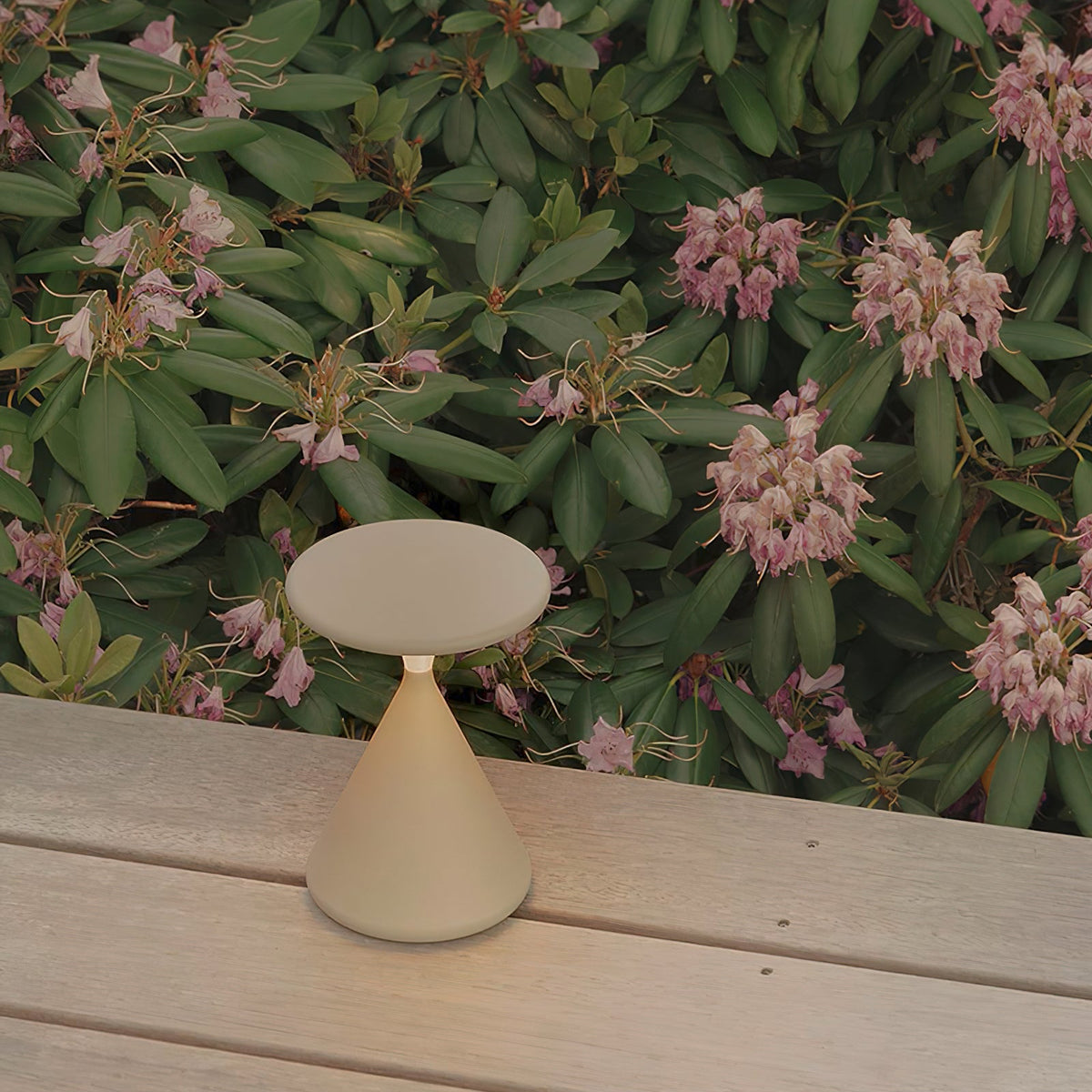 Salt & Pepper Atmosphere Table Lamp Built-in Battery