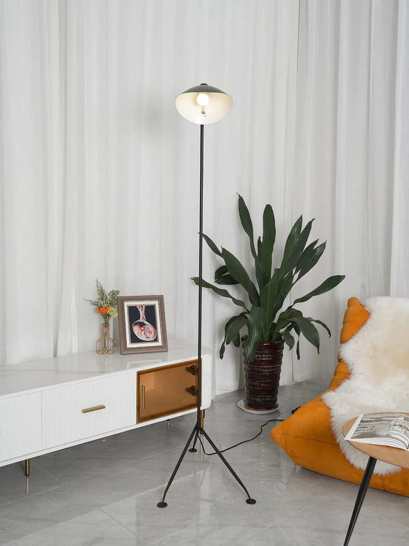 Serge Mouille Floor Lamp - Franing