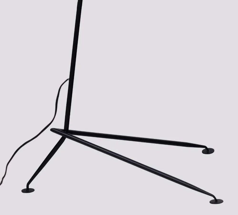 Serge Mouille Floor Lamp - Franing