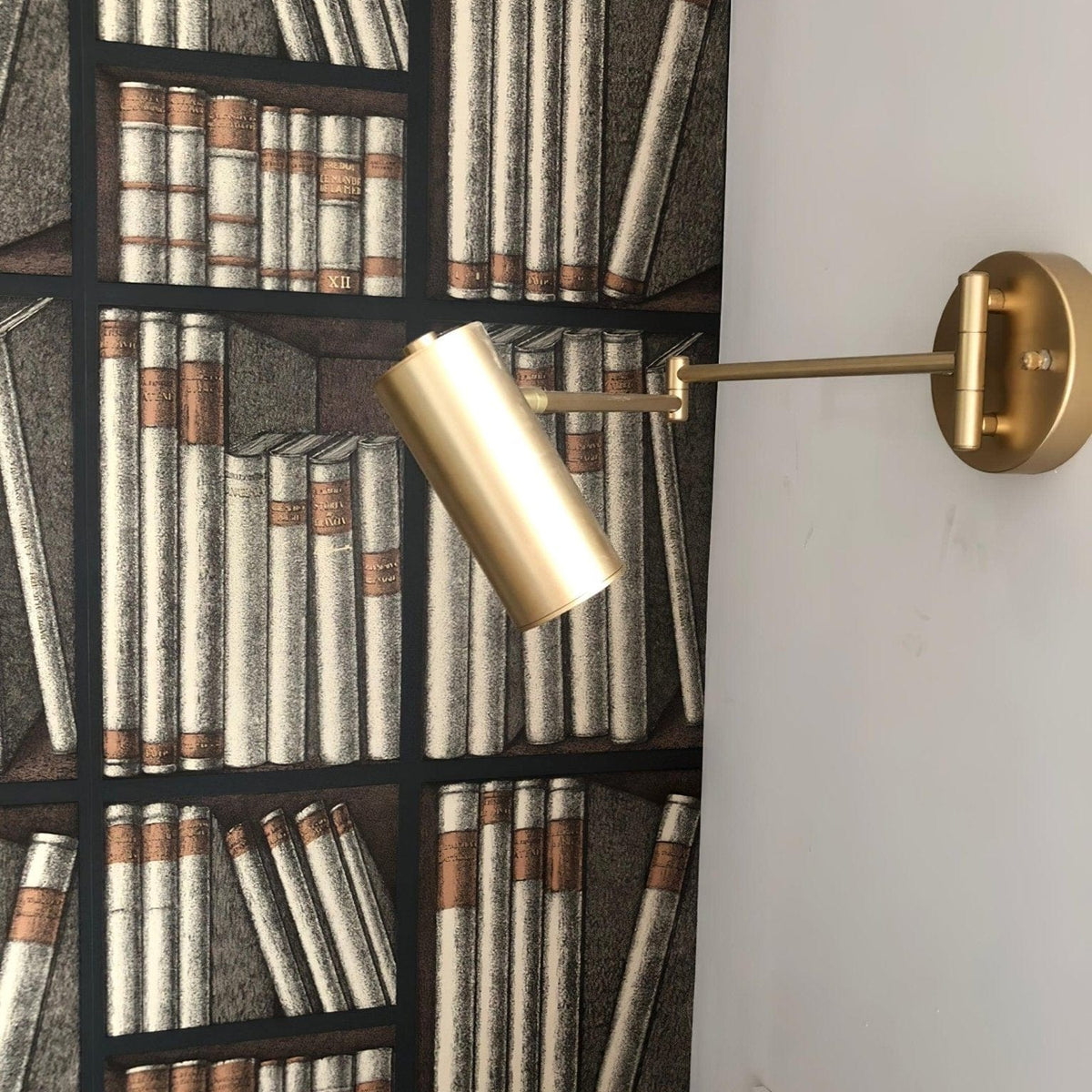 Swing Arm Wall Sconce - Franing